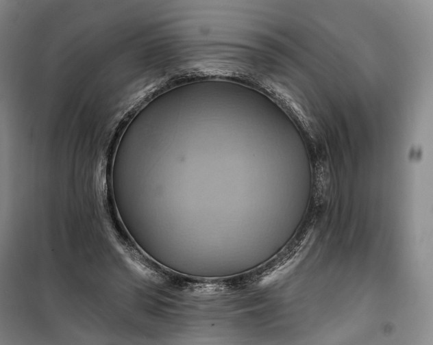 X0000101160398200807111033