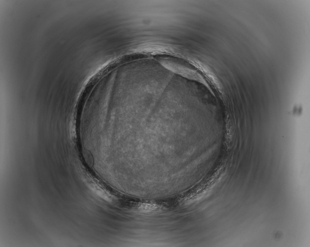 X0000101160399200807111033