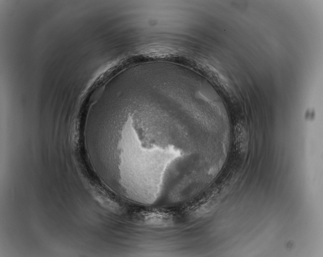 X0000101160400200807111033