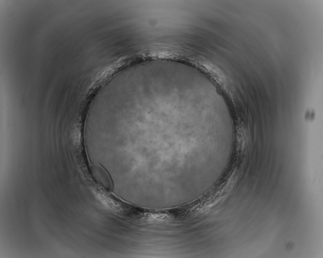 X0000101160401200807111033