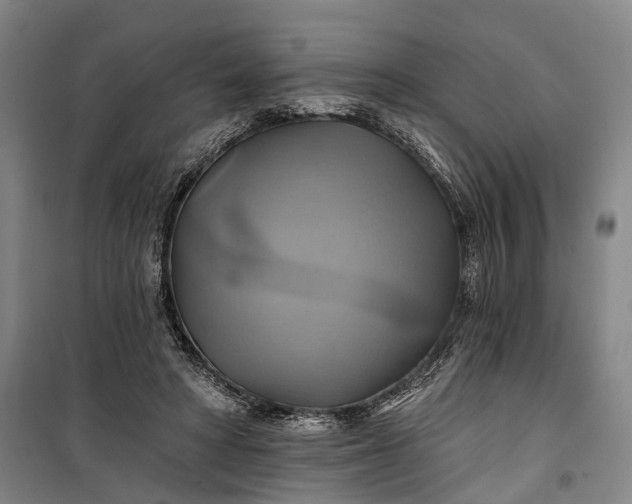 X0000101160402200807111033