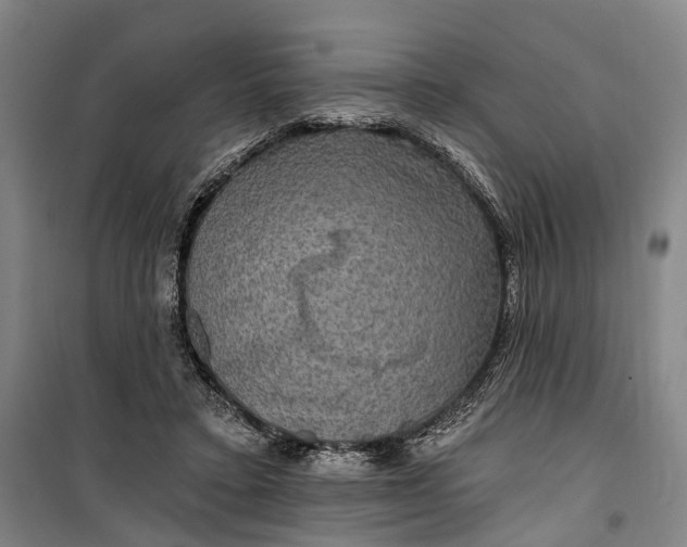 X0000101160403200807111033