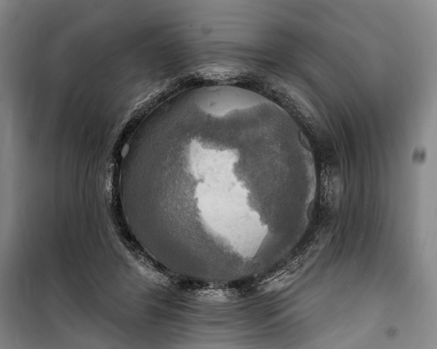 X0000101160404200807111033