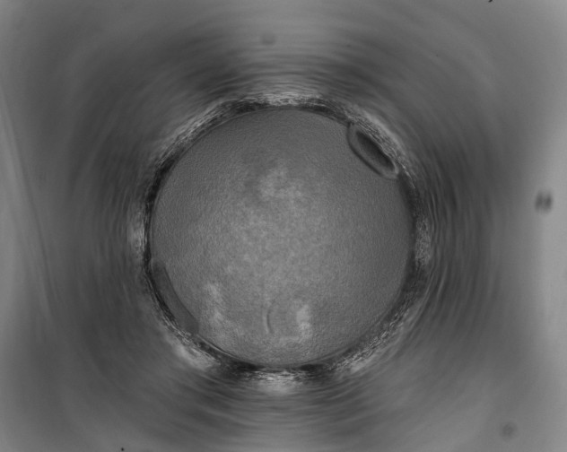 X0000101160405200807111033