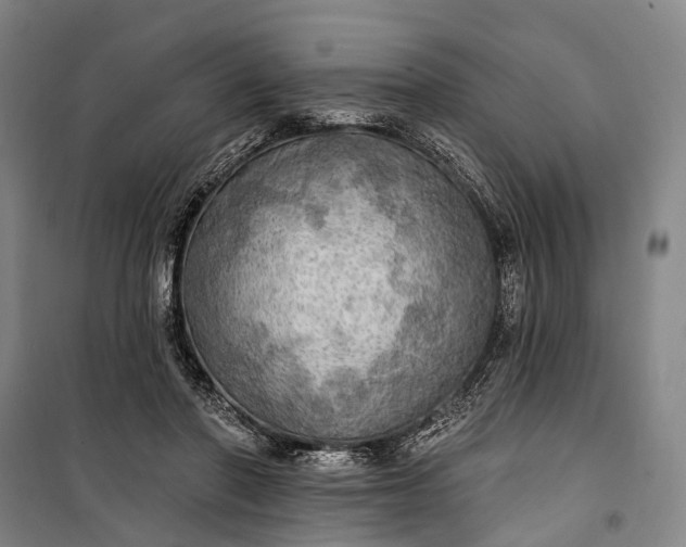 X0000101160406200807111033