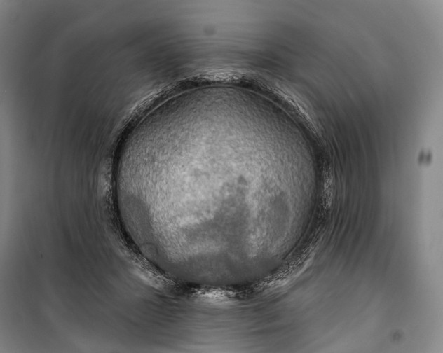 X0000101160407200807111033