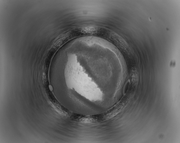 X0000101160408200807111033