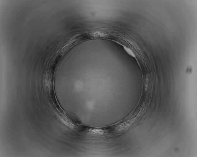 X0000101160409200807111033