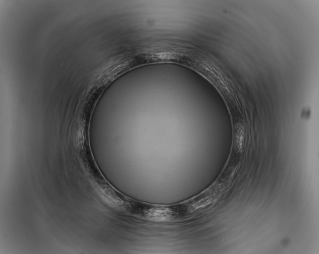 X0000101160410200807111033