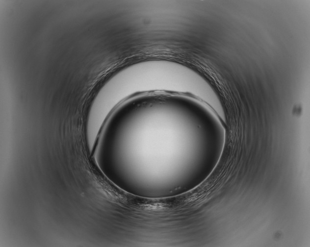 X0000101160411200807111033