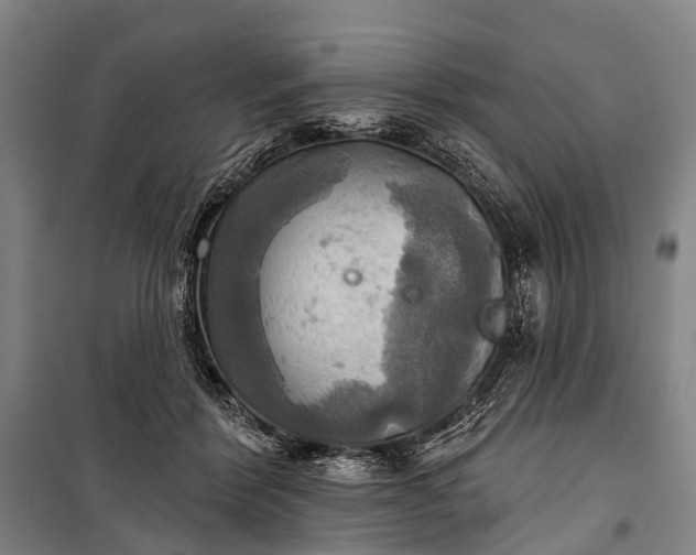 X0000101160412200807111033