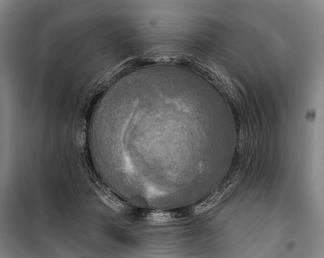 X0000101160413200807111033