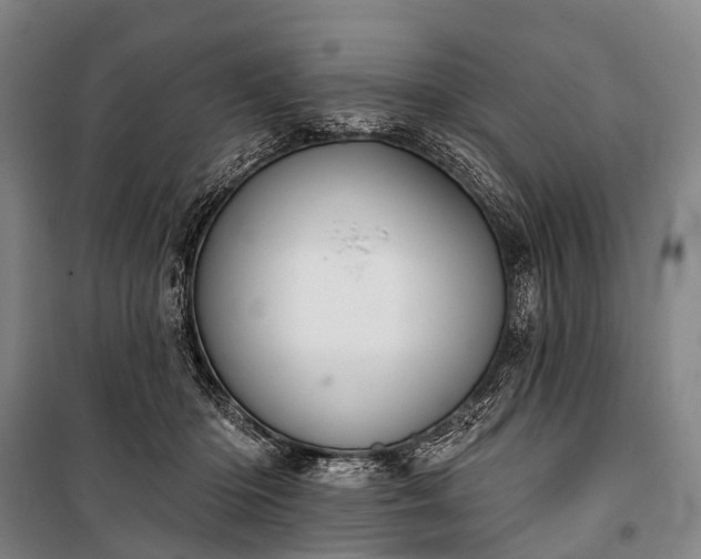 X0000101160414200807111033