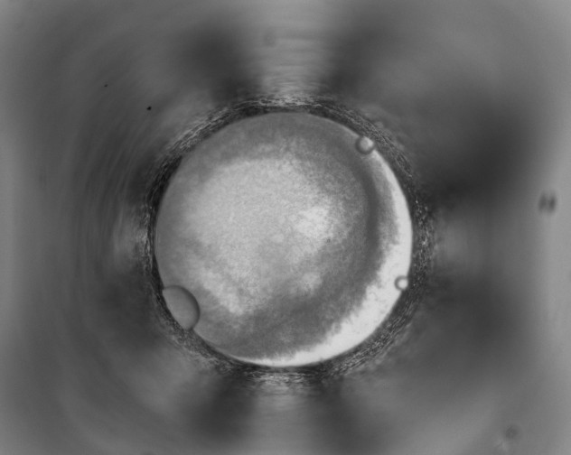 X0000101160415200807111033