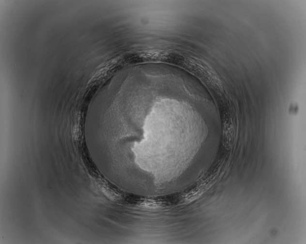 X0000101160416200807111033