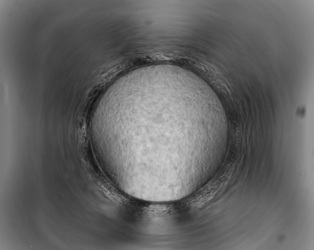 X0000101160418200807111033