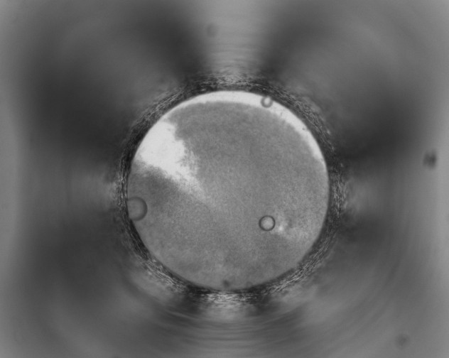 X0000101160419200807111033