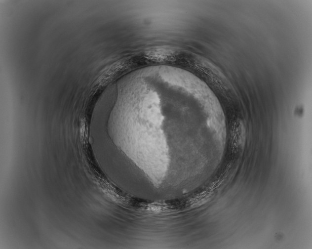 X0000101160420200807111033