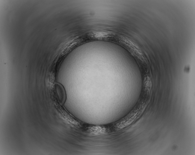 X0000101160421200807111033