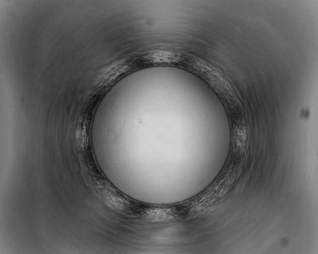 X0000101160422200807111033