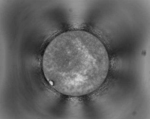 X0000101160423200807111033