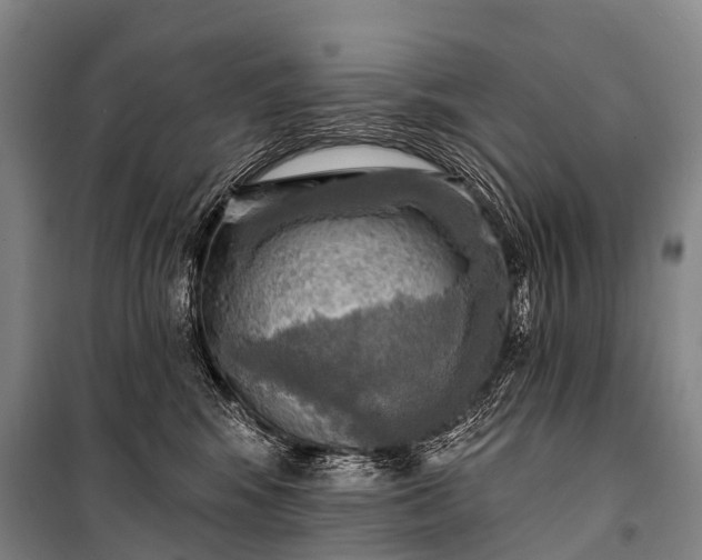 X0000101160424200807111033