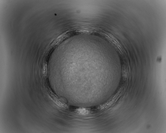 X0000101160425200807111033