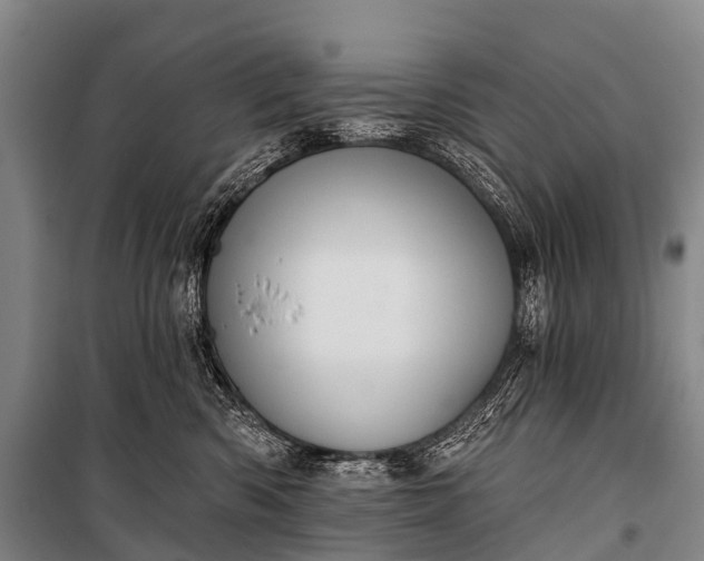 X0000101160426200807111033