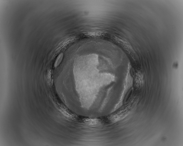 X0000101160428200807111033