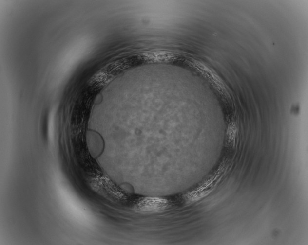 X0000101160429200807111033