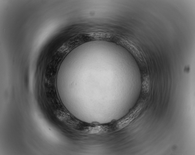 X0000101160430200807111033