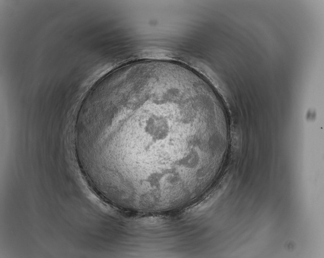 X0000101160433200807111032