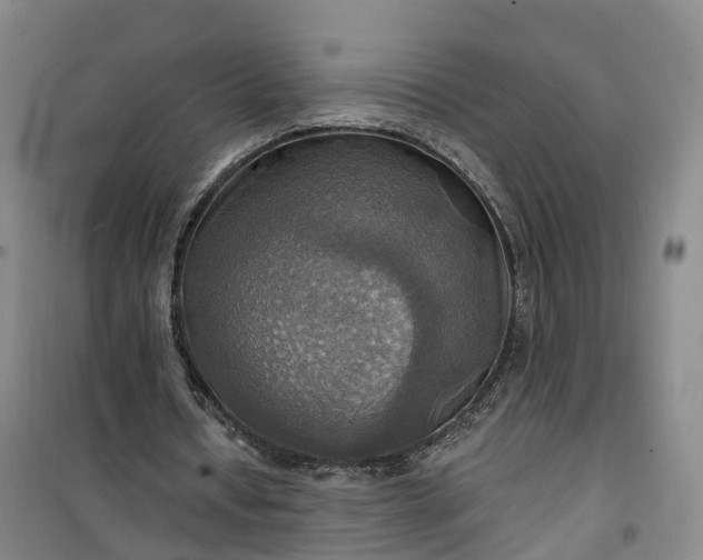 X0000101160434200807111032