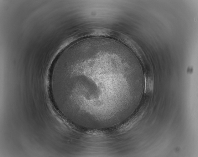 X0000101160435200807111032