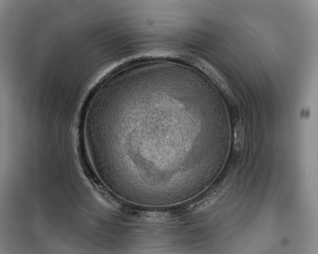 X0000101160436200807111032