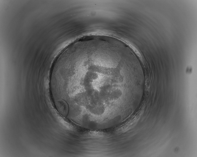 X0000101160437200807111032