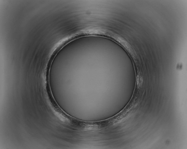 X0000101160438200807111032