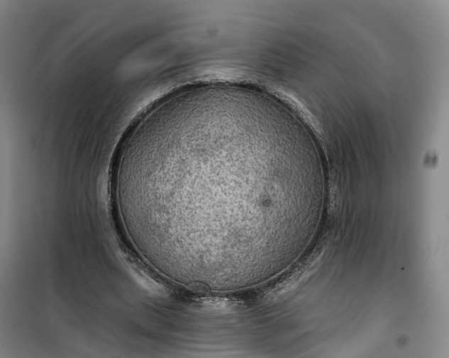 X0000101160439200807111032