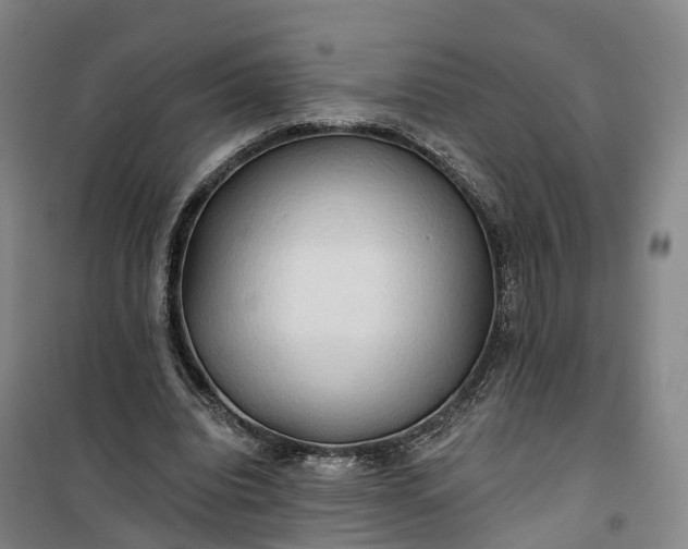 X0000101160440200807111032