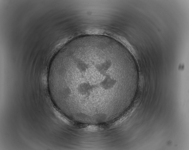 X0000101160441200807111032