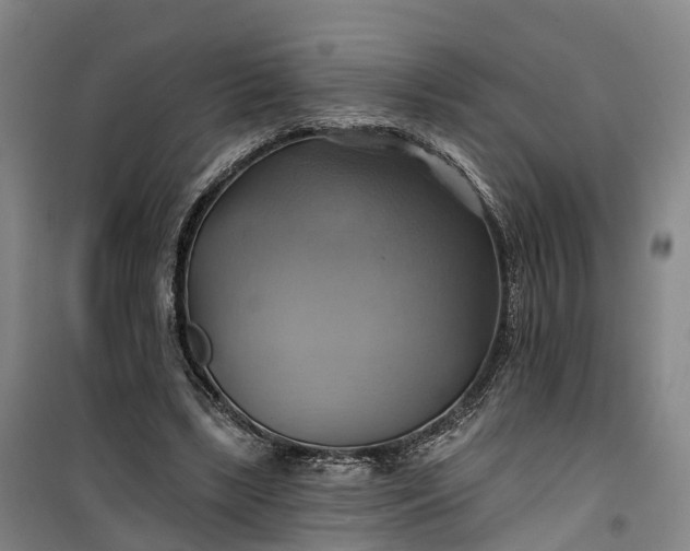 X0000101160443200807111032