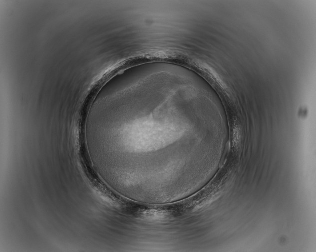 X0000101160444200807111032