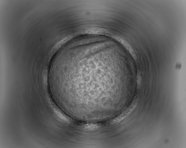 X0000101160445200807111032