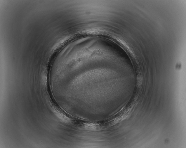 X0000101160446200807111032