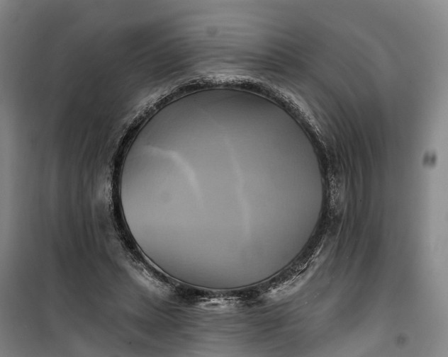 X0000101160447200807111032