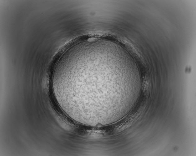 X0000101160448200807111032