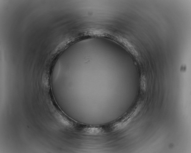 X0000101160449200807111032