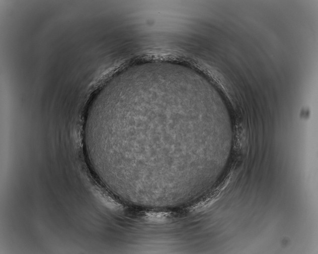 X0000101160450200807111032