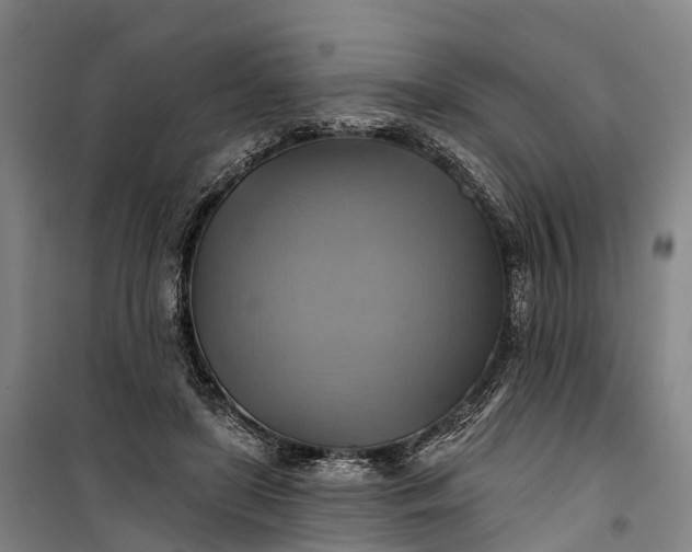 X0000101160451200807111032