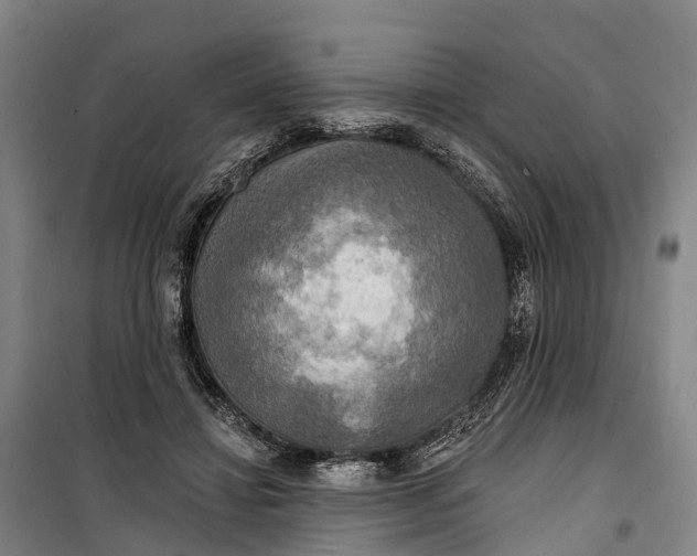 X0000101160452200807111032